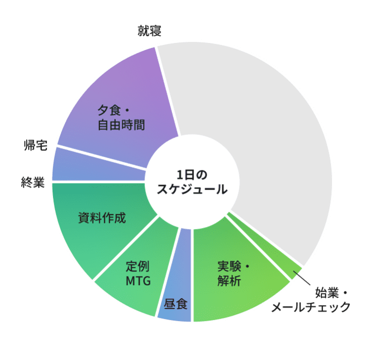 1日のスケジュールグラフ
